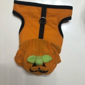 Hooded Halloween Dog Halter